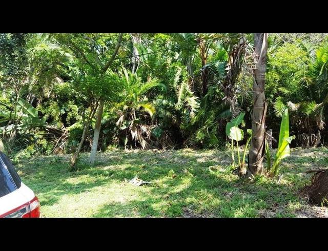 LAND FOR SALE IN PALM BEACH